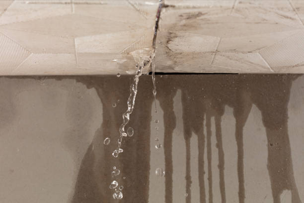 Professional Structural Drying technician working in Albion, IL